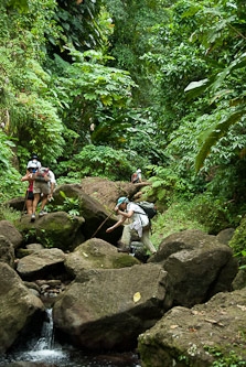 Grand Etang Hike