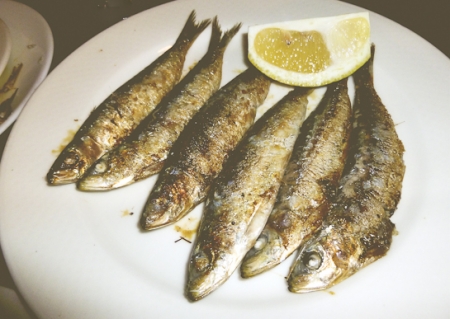 sardines_fixed