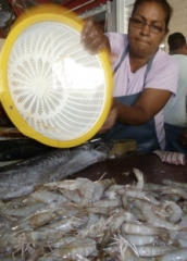 market-shrimp
