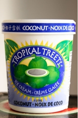 ice_cream_tropical_treats