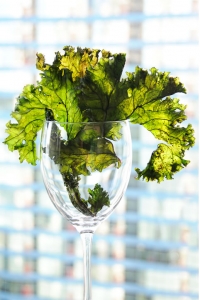 kale_crisps_11