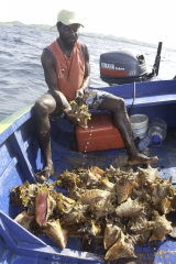 grenada_dwight-fishing_08-6