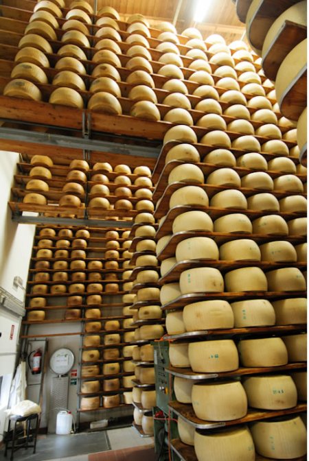 italy_parmigiano_11