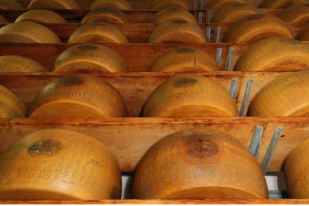 italy_parmigiano_14