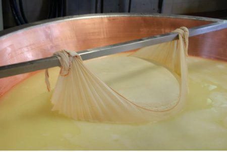 italy_parmigiano_4