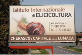 italy_cherasco_snails_1